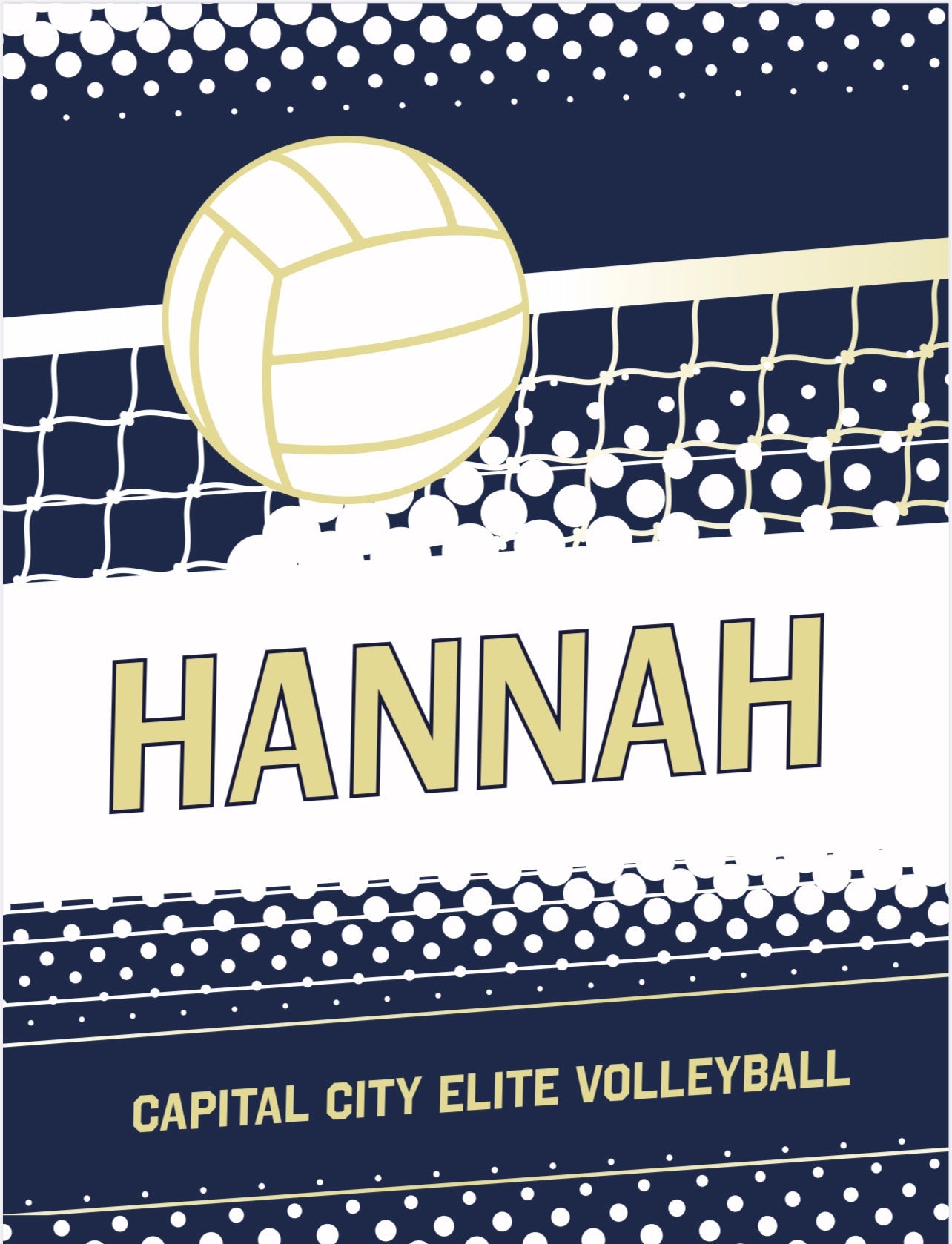 CCE VOLLEYBALL WITH NET
